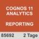 Seminar Cognos 11 Analytics Berichtserstellung und Reporting